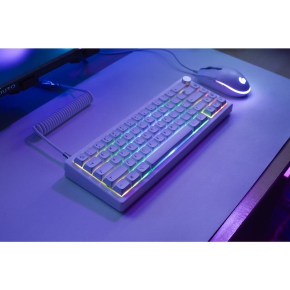 Custom modded mechanical keyboard GMK67 65% Lubed Switches thocky hot-swap RGB - Picture 4 of 10